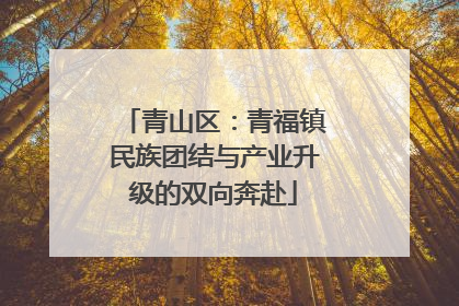 青山区：青福镇民族团结与产业升级的双向奔赴