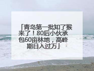 青岛第一批知了猴来了！80后小伙承包60亩林地，高峰期日入过万