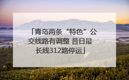 青岛两条“特色”公交线路有调整 昔日最长线312路停运