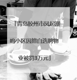 青岛胶州市凤起潮鸣小区因擅自选聘物业被罚3万元
