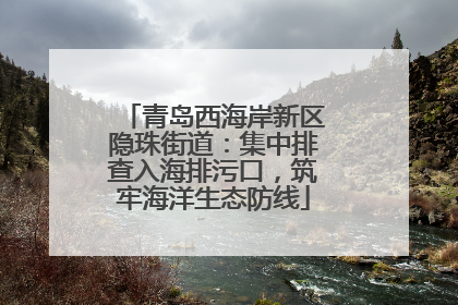 青岛西海岸新区隐珠街道：集中排查入海排污口，筑牢海洋生态防线