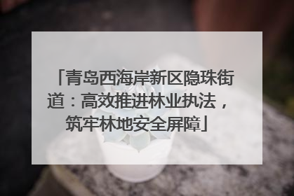 青岛西海岸新区隐珠街道：高效推进林业执法，筑牢林地安全屏障