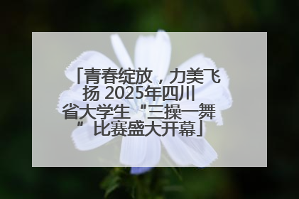 青春绽放，力美飞扬 2025年四川省大学生“三操一舞”比赛盛大开幕
