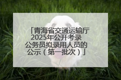 青海省交通运输厅2025年公开考录公务员拟录用人员的公示（第一批次）
