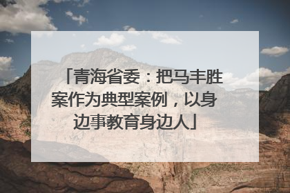 青海省委：把马丰胜案作为典型案例，以身边事教育身边人