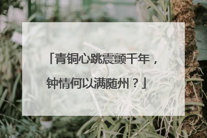 青铜心跳震颤千年，钟情何以满随州？