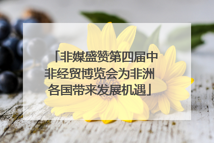 非媒盛赞第四届中非经贸博览会为非洲各国带来发展机遇