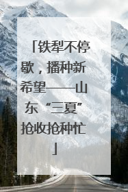 铁犁不停歇，播种新希望——山东“三夏”抢收抢种忙