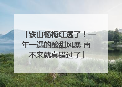 铁山杨梅红透了！一年一遇的酸甜风暴 再不来就真错过了