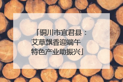 铜川市宜君县：艾草飘香迎端午 特色产业助振兴