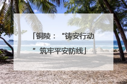 铜陵：“铸安行动”筑牢平安防线