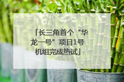 长三角首个“华龙一号”项目1号机组完成热试