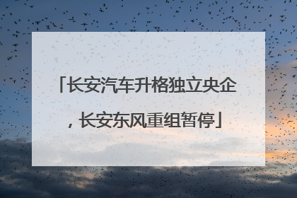 长安汽车升格独立央企，长安东风重组暂停