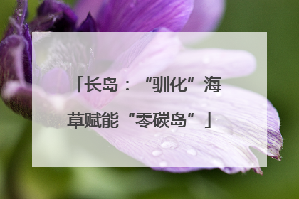 长岛：“驯化”海草赋能“零碳岛”
