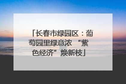 长春市绿园区：葡萄园里绿意浓 “紫色经济”焕新枝