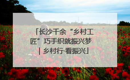 长沙千余“乡村工匠”巧手织就振兴梦｜乡村行·看振兴
