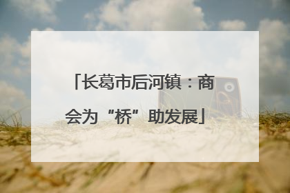 长葛市后河镇：商会为“桥”助发展