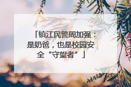 镇江民警周加强：是奶爸，也是校园安全“守望者”