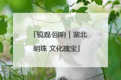 镜观·回响｜塞北明珠 文化瑰宝