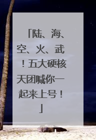 陆、海、空、火、武！五大硬核天团喊你一起来上号！