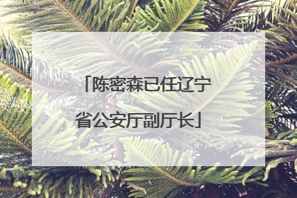 陈密森已任辽宁省公安厅副厅长