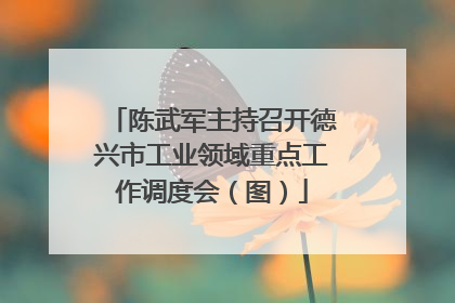 陈武军主持召开德兴市工业领域重点工作调度会（图）