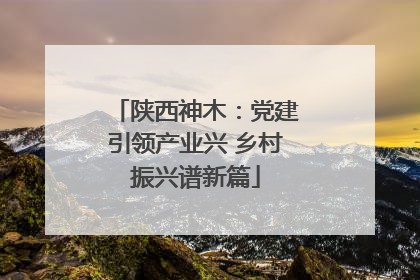 陕西神木：党建引领产业兴 乡村振兴谱新篇