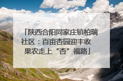 陕西合阳同家庄镇柏瑞社区：百亩杏园迎丰收 果农走上“杏”福路