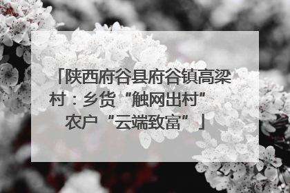 陕西府谷县府谷镇高梁村：乡货“触网出村” 农户“云端致富”