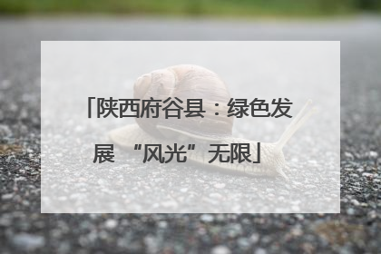 陕西府谷县：绿色发展 “风光”无限