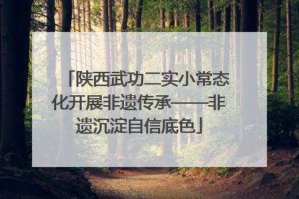 陕西武功二实小常态化开展非遗传承——非遗沉淀自信底色