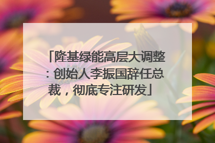 隆基绿能高层大调整：创始人李振国辞任总裁，彻底专注研发