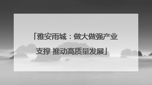雅安雨城：做大做强产业支撑 推动高质量发展