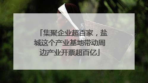 集聚企业超百家，盐城这个产业基地带动周边产业开票超百亿