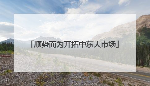 顺势而为开拓中东大市场