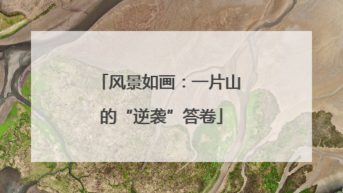 风景如画：一片山的“逆袭”答卷