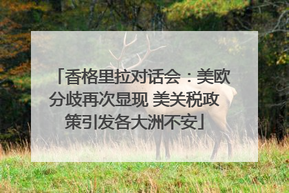 香格里拉对话会：美欧分歧再次显现 美关税政策引发各大洲不安
