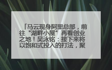 马云现身阿里总部，前往“湖畔小屋”再看创业之地！吴泳铭：接下来将以饱和式投入的打法，聚焦于几大核心战役