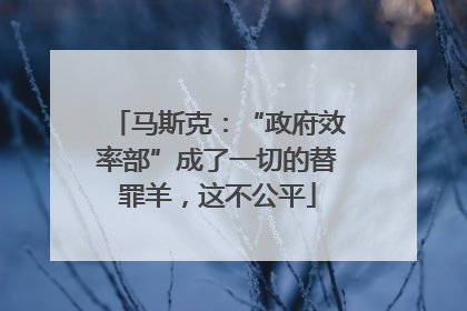 马斯克：“政府效率部”成了一切的替罪羊，这不公平