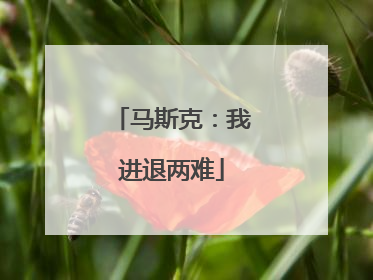 马斯克：我进退两难