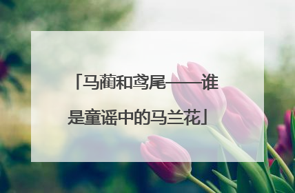 马蔺和鸢尾——谁是童谣中的马兰花