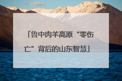 鲁中肉羊高原“零伤亡”背后的山东智慧