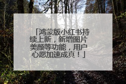 鸿蒙版小红书持续上新，新增图片美颜等功能，用户心愿加速成真！