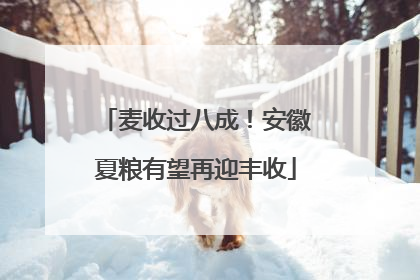 麦收过八成！安徽夏粮有望再迎丰收