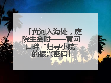 黄河入海处，庭院生金时——黄河口畔“归寻小院”的振兴密码