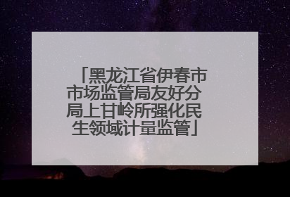 黑龙江省伊春市市场监管局友好分局上甘岭所强化民生领域计量监管