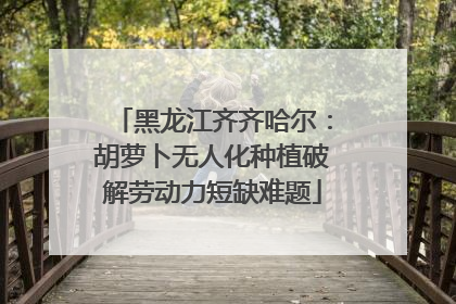 黑龙江齐齐哈尔：胡萝卜无人化种植破解劳动力短缺难题
