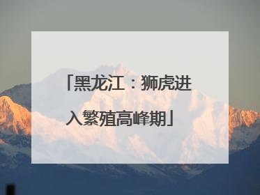 黑龙江：狮虎进入繁殖高峰期