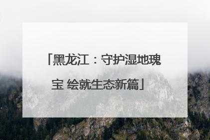 黑龙江：守护湿地瑰宝 绘就生态新篇