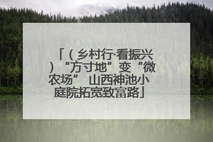 （乡村行·看振兴）“方寸地”变“微农场” 山西神池小庭院拓宽致富路